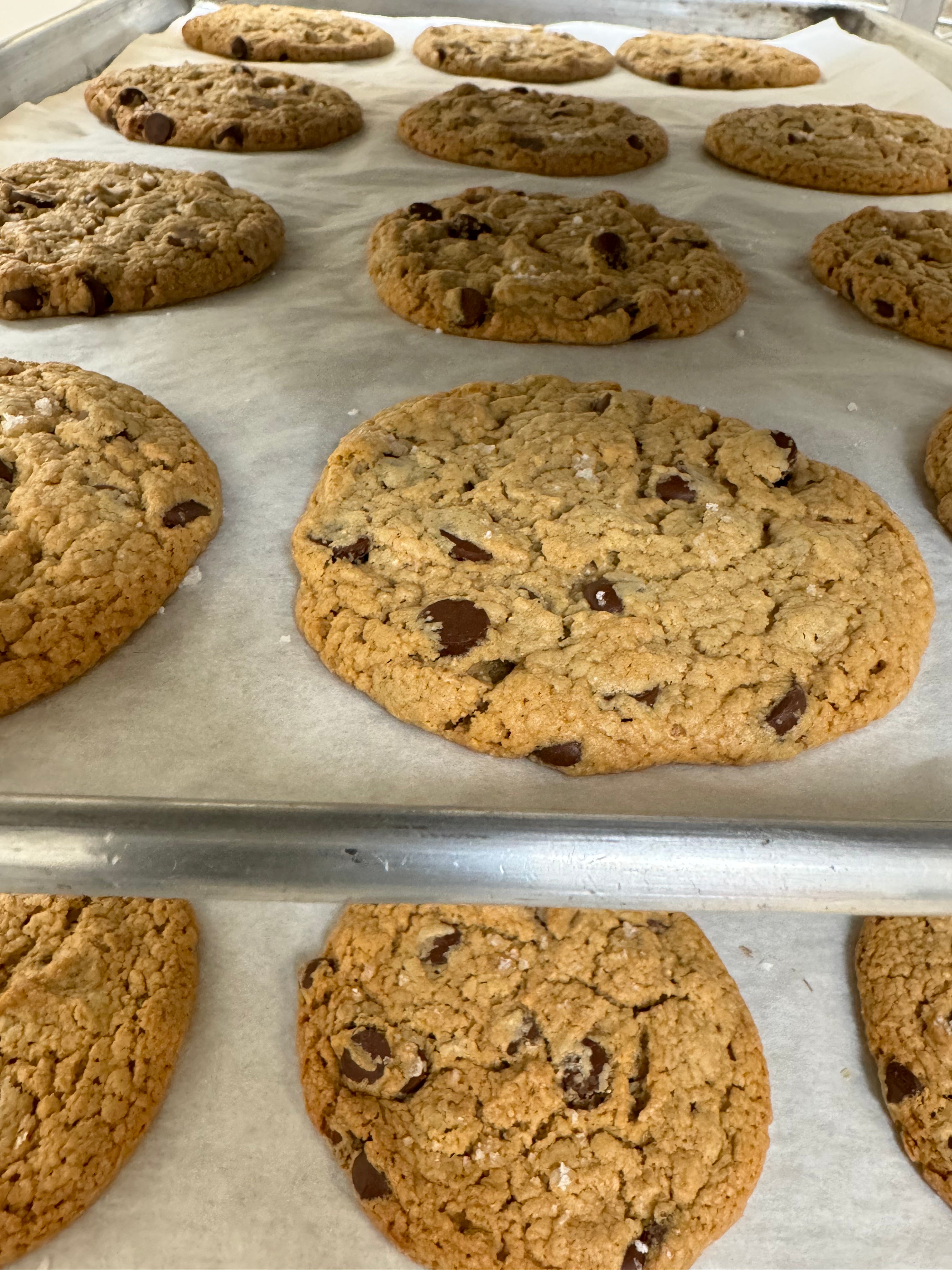 Vegan Tahini chocolate chip cookie